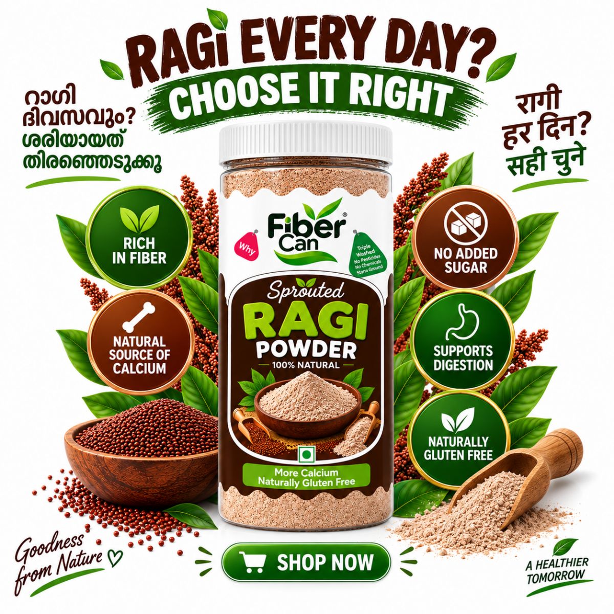 FiberCan Sprouted Ragi Flour 500g Pet | Home Made | Natural Finger Millet | High Fiber Calcium Rich Porridge Drink | Gluten Free Traditional Millet Powder | Cleaned & Stone Free